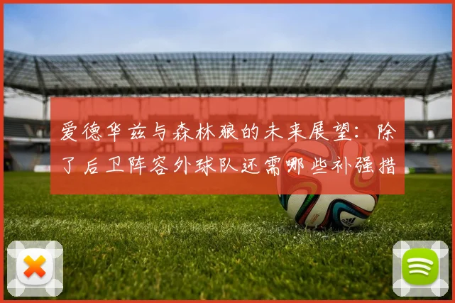 爱德华兹与森林狼的未来展望：除了后卫阵容外球队还需哪些补强措施